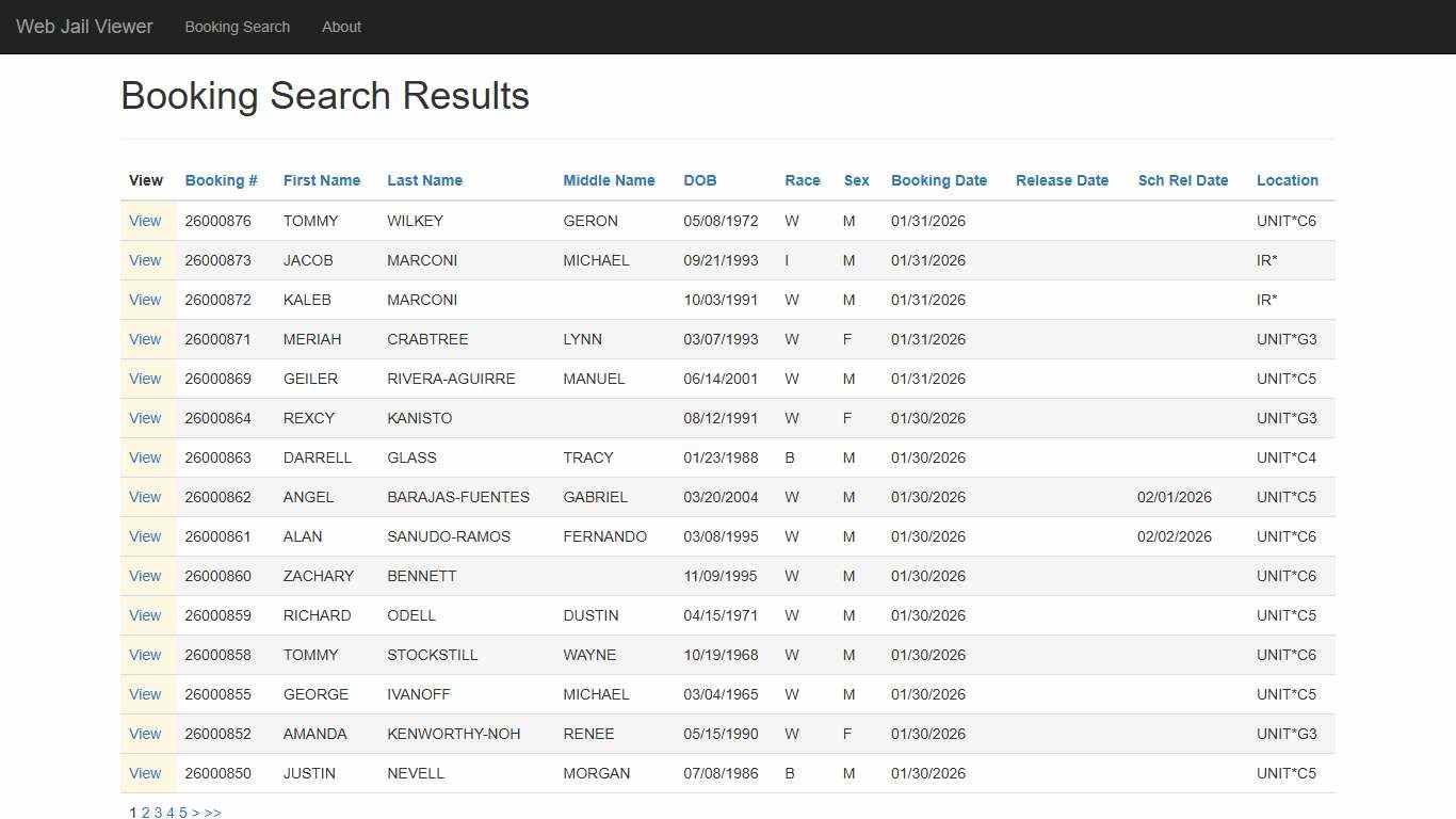 BookingSearchDetail - Web Jail Viewer